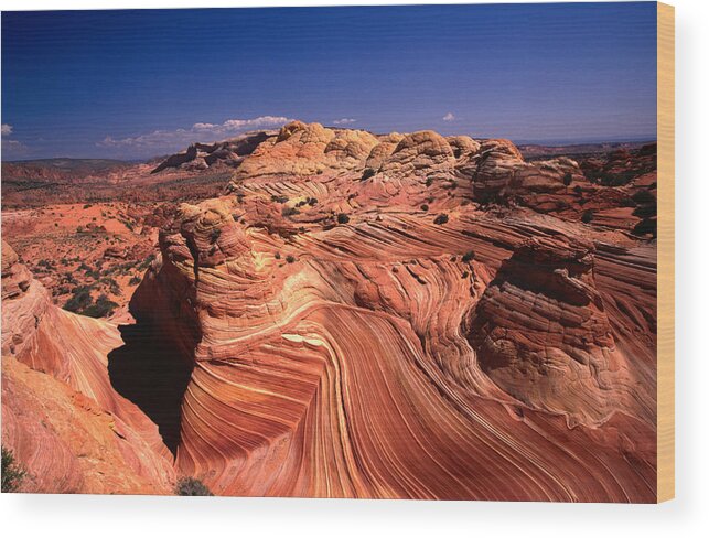 Weathered Wood Print featuring the photograph Sandstone Erosion Of The Colorado by Mark Newman