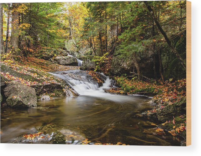 Autumn Foliage New England Wood Print featuring the photograph Sandwich Notch road waterfall New Hampshire by Jeff Folger
