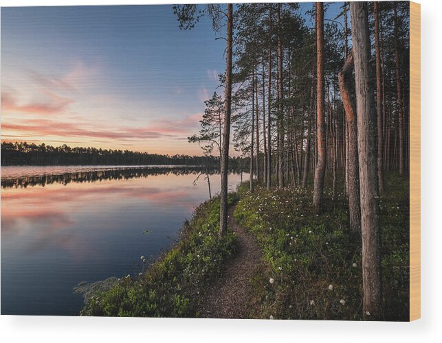 Landscape Wood Print featuring the photograph Scenic Lake View With Idyllic Path by Jani Riekkinen