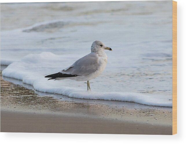 Surf Wood Print featuring the photograph Seafoam by Donna Twiford
