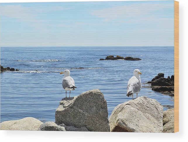 Water's Edge Wood Print featuring the photograph Seagulls by Nicolecioe