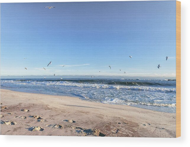 Seagulls Wood Print featuring the photograph Seagulls Over The Beach by Sandi Kroll