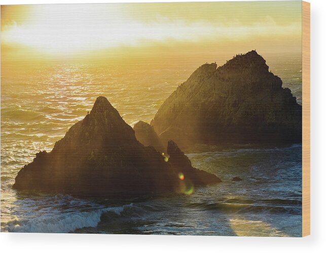 San Francisco Wood Print featuring the photograph Seal Rocks San Francisco by Kyle Hanson