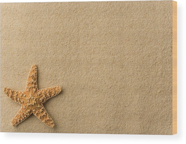 Empty Wood Print featuring the photograph Seashell - Starfish On Beach by Flamingpumpkin