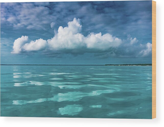 Bahamas Wood Print featuring the photograph Seaside in the Abaco Islands by Sandra Foyt