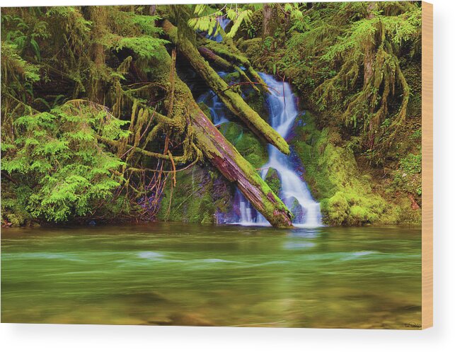 Deebrowningphotography.com Wood Print featuring the photograph Seasonal Runoff by Dee Browning