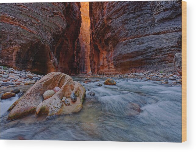 Zion Narrows Wood Print featuring the photograph Seeing The Light by Jonathan Davison