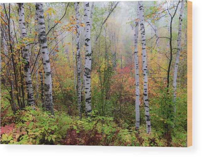 Autumn Wood Print featuring the photograph September Morn by Mary Amerman