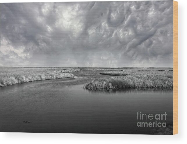 Landscape Wood Print featuring the photograph Serenity Before The Storm by DB Hayes