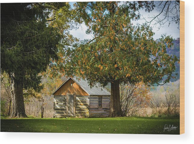 Shade Wood Print featuring the photograph Shade by Phil S Addis