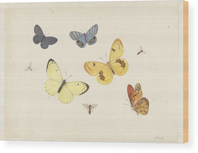 Sheet Of Studies With Five Butterflies Wood Print featuring the painting Sheet of Studies with Five Butterflies by MotionAge Designs