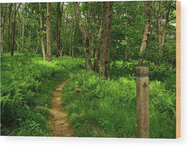 Shenandoah National Park Appalachian Trail Wood Print featuring the photograph Shenandoah National Park Appalachian Trail by Raymond Salani III