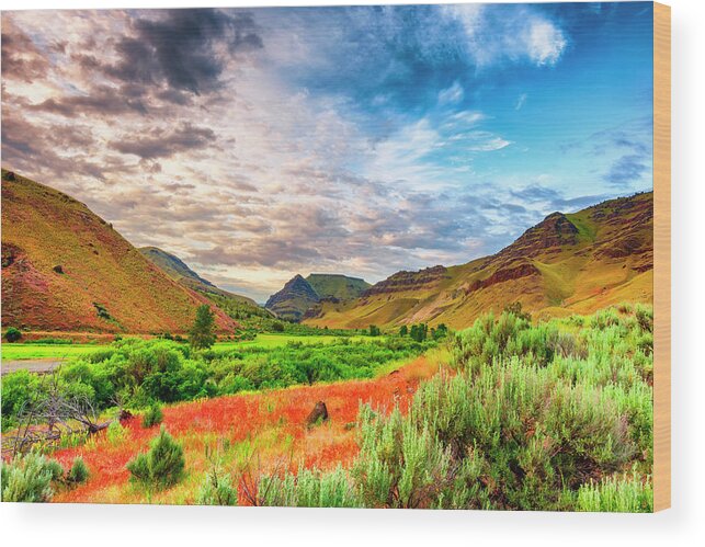 John Day Fossil Beds National Park Wood Print featuring the photograph Silence of Sunrise by Dee Browning