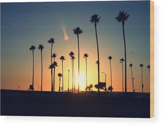 Tranquility Wood Print featuring the photograph Silhouette Of Palm Trees At Sunset by Photo By Natalie Wilson
