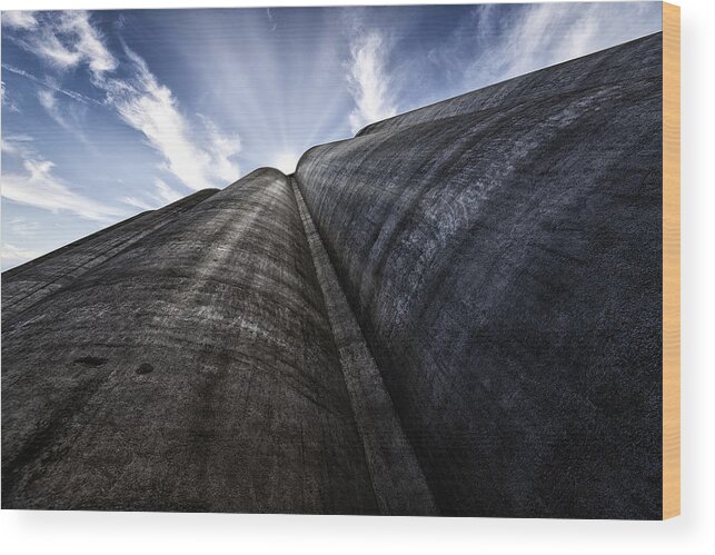 Industrial Wood Print featuring the photograph Silo T by Ivan Tomic