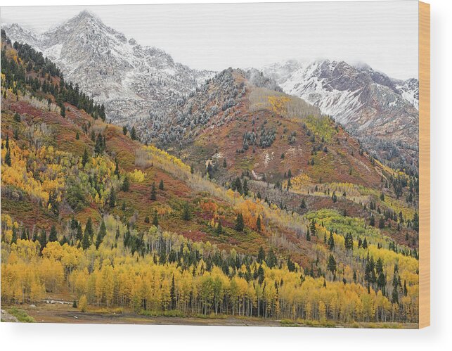 Utah Wood Print featuring the photograph Silver Lake Flat with Fall Colors - American Fork Canyon, Utah by Brett Pelletier