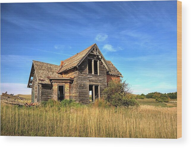 Abandoned Wood Print featuring the photograph Sims Show Place by Harriet Feagin