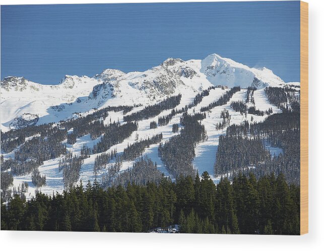 Scenics Wood Print featuring the photograph Ski Runs by Noel Hendrickson