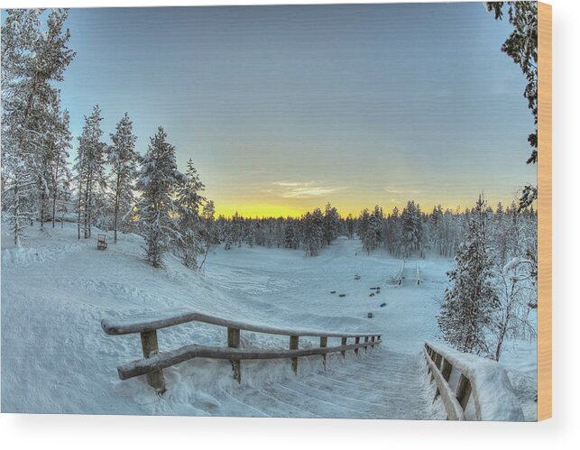 Tourism Wood Print featuring the photograph Sledding in the Evening by Laura Hedien