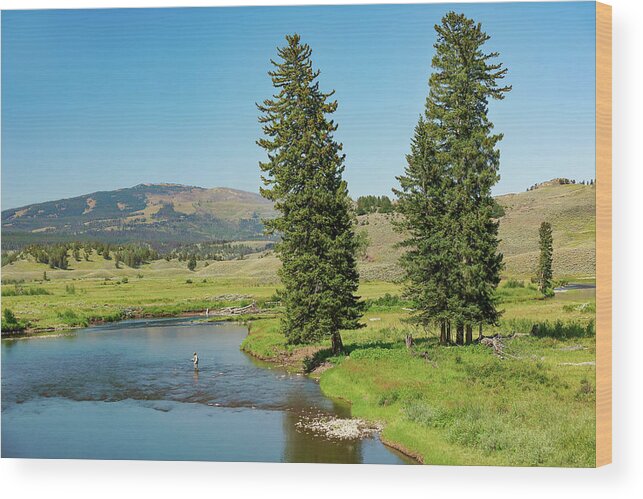 Slough Creek Wood Print featuring the photograph Slough Creek by Todd Klassy