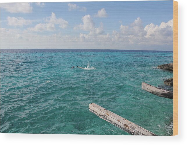 Tropical Vacation Wood Print featuring the photograph Snorkeling by Ruth Kamenev