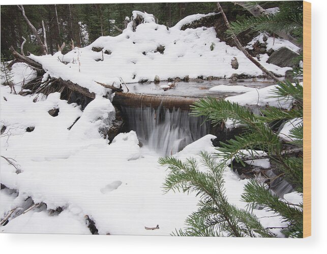 Waterfall Wood Print featuring the photograph Snow Waterfall by Dmdcreative Photography