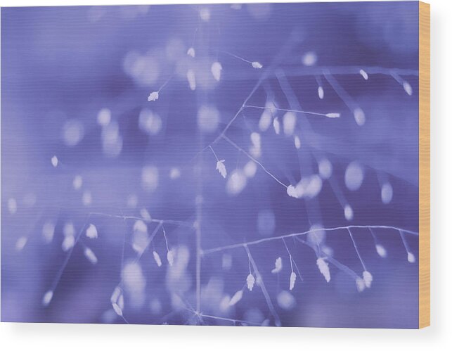 Abstract; Wood Print featuring the photograph Snowfall by Nilesh J. Bhange