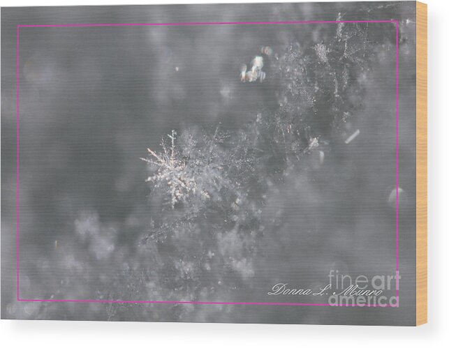 Snowflake Wood Print featuring the photograph Snowflake Pink Border by Donna L Munro