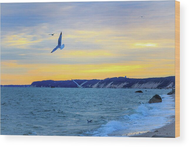 1.12.19 Wood Print featuring the photograph Soaring at Sunrise by Camille Lucarini