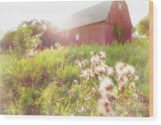 Barn Wood Print featuring the photograph Soft and Light 36 by Becqi Sherman