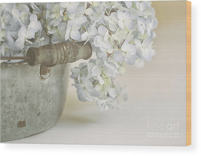 Flowers Wood Print featuring the photograph Soft Baby Blues by Alison Sherrow I AgedPage Fine