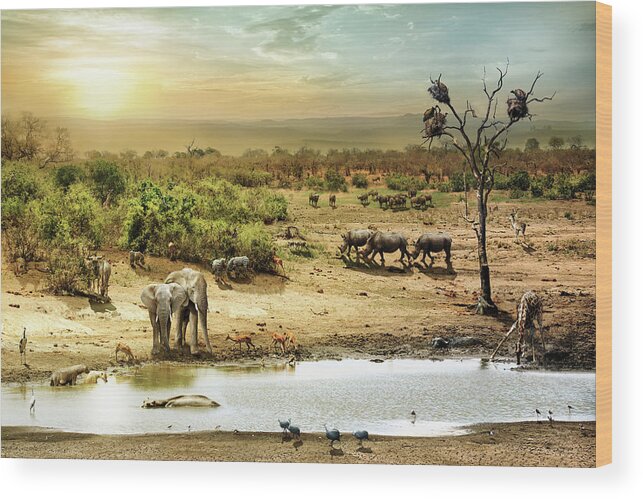 Africa Wood Print featuring the photograph South African Safari Wildlife Fantasy Scene by Good Focused