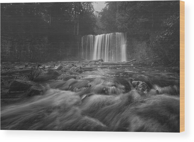 Water Wood Print featuring the photograph Speak Softly by Yao Zheng