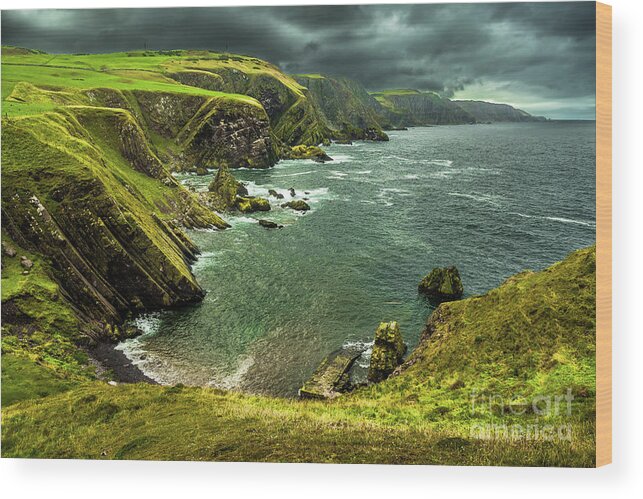 Agriculture Wood Print featuring the photograph Spectacular Atlantik Coast And Cliffs At St. Abbs Head in Scotland by Andreas Berthold