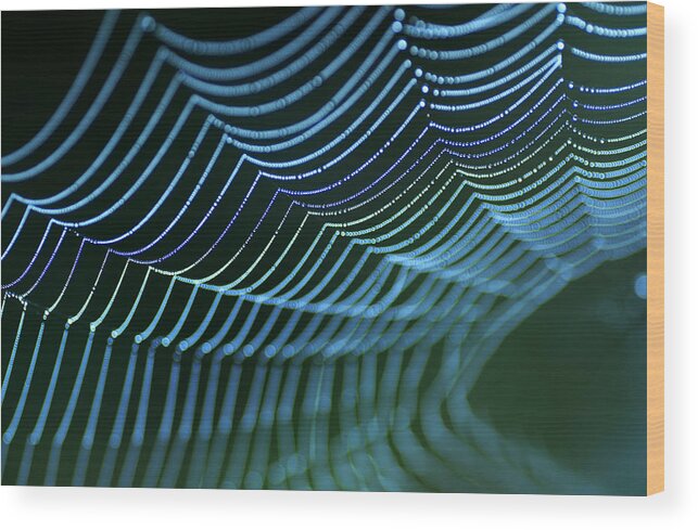 Abstract Wood Print featuring the photograph Spider's Web. by Allan Wallberg