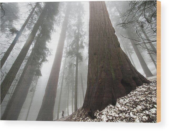 National Park Wood Print featuring the photograph Spot The Human by Steven Keys