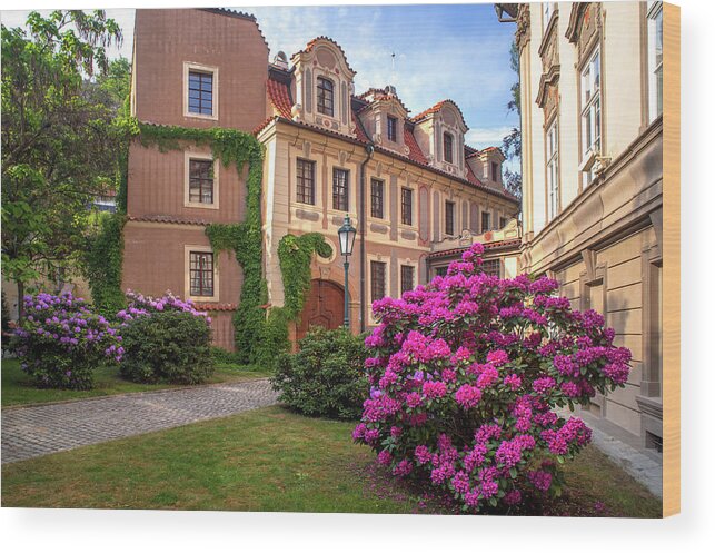 Jenny Rainbow Fine Art Photography Wood Print featuring the photograph Spring Blooms in Kolowrat Garden Prague 5 by Jenny Rainbow