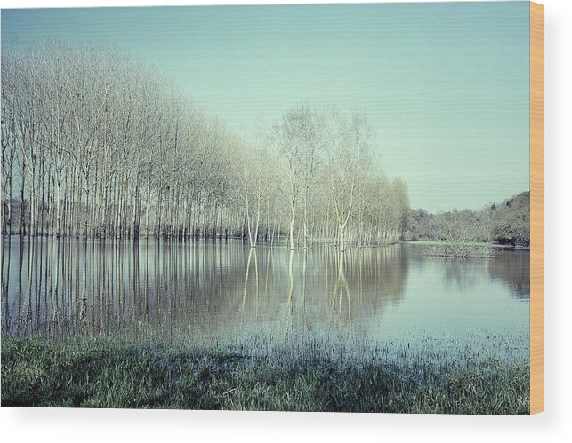 Tranquility Wood Print featuring the photograph Spring Flooding by Louise Legresley