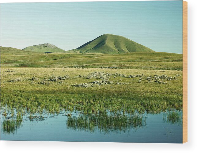 Spring Wood Print featuring the photograph Spring Green Hills by Todd Klassy