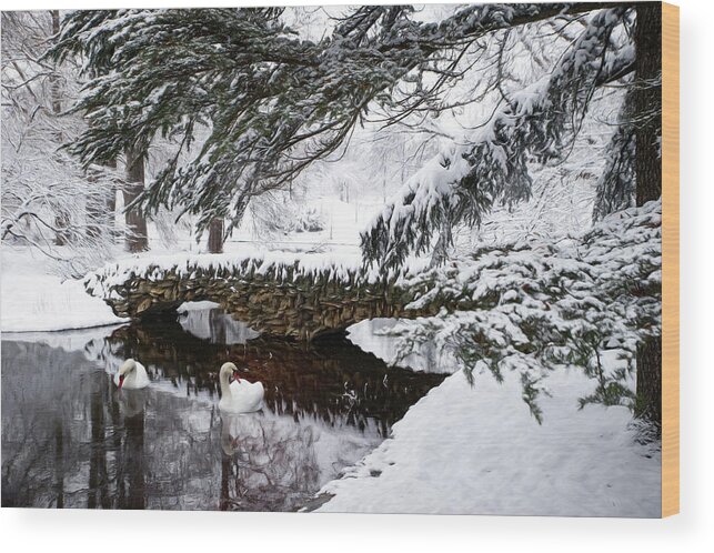 Spring Grove Wood Print featuring the photograph Spring Grove Snow by Ed Taylor