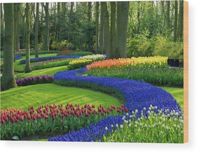 Scenics Wood Print featuring the photograph Spring In The Park by Jacobh