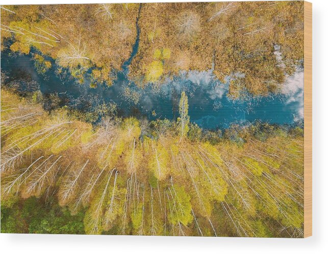 Landscapeaerial Wood Print featuring the photograph Spring Season. Aerial View. Young by Ryhor Bruyeu