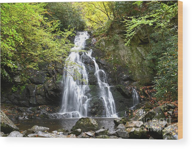 Spruce Flats Falls Wood Print featuring the photograph Spruce Flats Falls 5 by Phil Perkins
