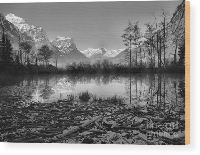 St Mary Wood Print featuring the photograph St. Mary Driftwood Pond Reflections Black And White by Adam Jewell