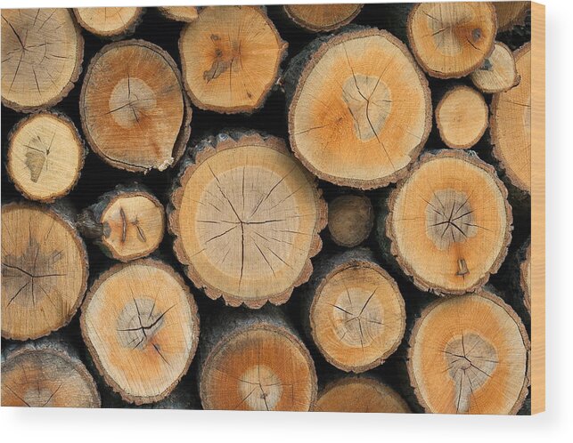 Stacked Logs Wood Print by Sunnybeach 