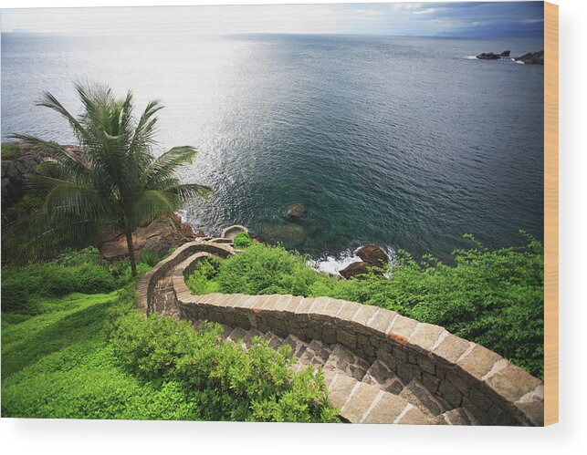 Steps Wood Print featuring the photograph Stairs To The Sea - Brazil by Luso