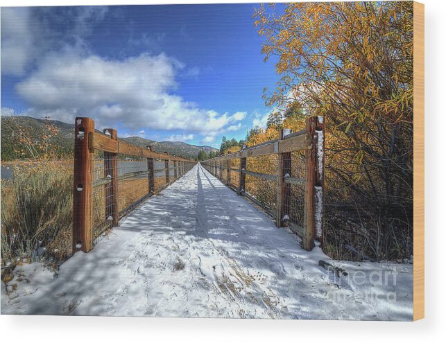 Stanfield; Marsh; Wildlife; Waterfowl; Preserve; Bridge; Wood; Snow; Trees; Bush; Branches; Leaves; Yellow; White; Blue; Sky; Clouds; Nikon; Big Bear; California Wood Print featuring the photograph Stanfield Marsh Wildlife and Waterfowl Preserve Bridge by Eddie Yerkish