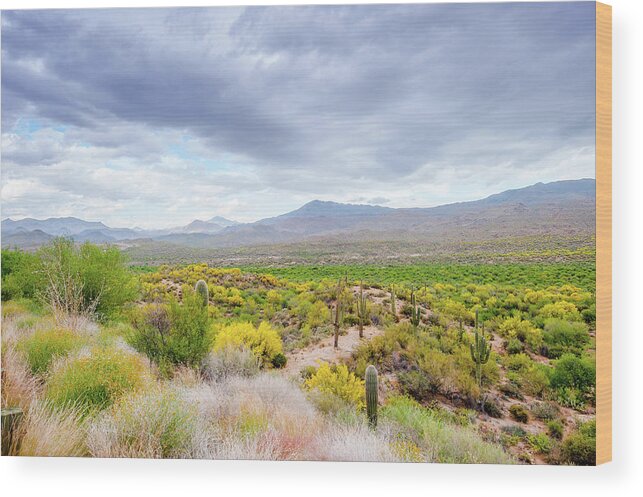 Scenics Wood Print featuring the photograph Steppe In Arizona, Usa by Mmac72