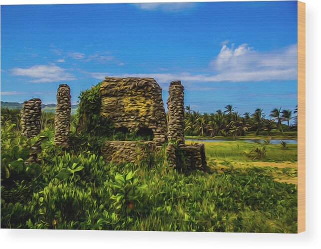 Oven Wood Print featuring the photograph Stone oven by Stuart Manning