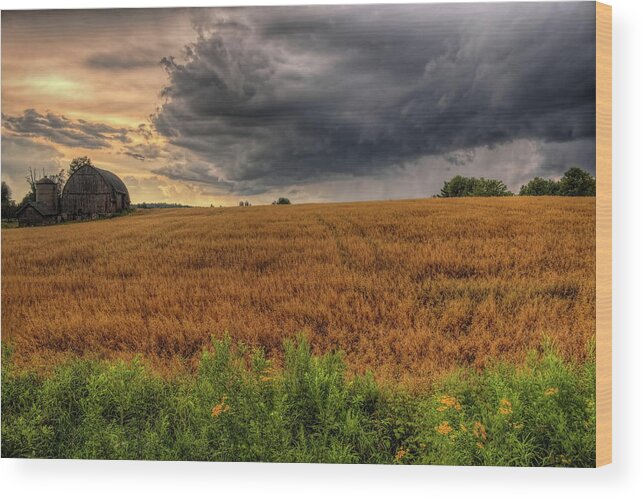 Weather Wood Print featuring the photograph Storm Over Golden Grain by Dale Kauzlaric